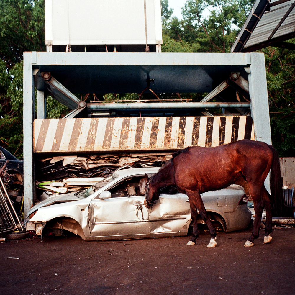 Image Cover